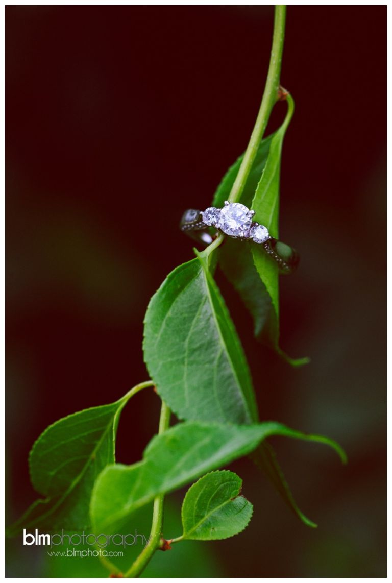 Chris-Caitlin_Engagement_072615-9153.jpg