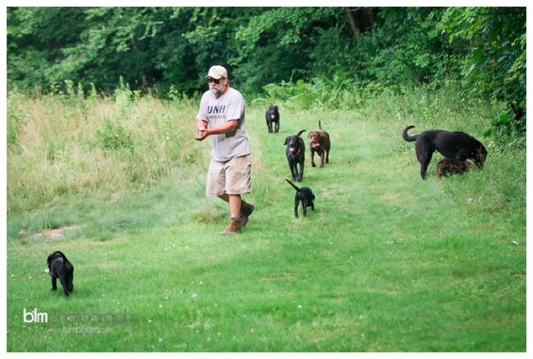 Webber-Puppies_072115-4069.jpg