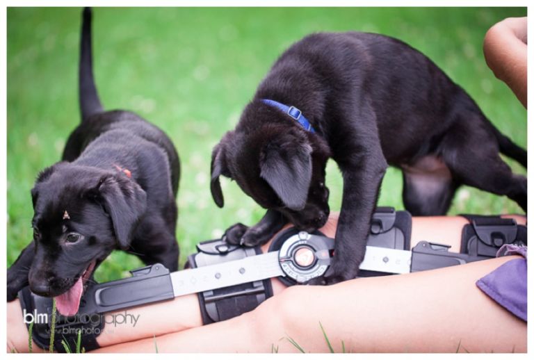 Webber-Puppies_072115-8074.jpg