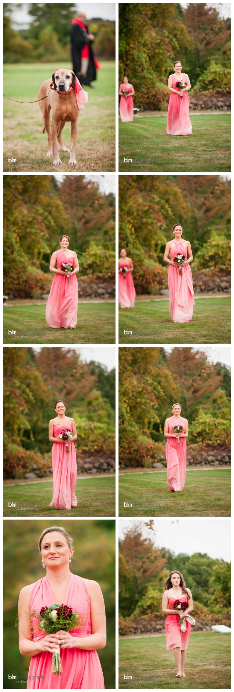 Artistic,BLM,Candid,Courtney,Courtney-Doug_Wedding,Creative,Curtis Farm,Doug,Milford Wedding Photography,NH,NH Wedding,Natural,Natural Light,New England,New England Wedding,Oct,October,Peterborough Wedding Photographer,Photo,Photographer,Photography,Photojournalistic,Professional,Professional Wedding Photography,Style,USA,Unites States,Vivid,Wedding,Wedding Photography,Wedding Photography Packages,Wedding Photography Tips,www.blmphoto.com,©BLM Photography 2015,