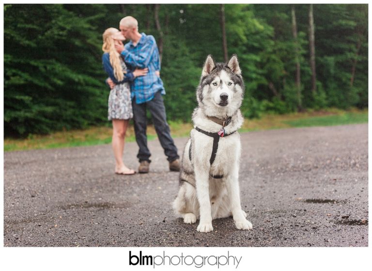 Artistic,BLM,Brattleboro Wedding Photographer,Candid,Creative,Dublin Engagement,Dublin Wedding Photographer,Engagement Photos,Engagement Pictures,Hancock Wedding Photographer,Harrisville Wedding Photographer,Jaffrey Wedding Photographer,Jul,July,Keene Wedding Photographer,Lovebirds,MA,ME,Maine Wedding Photographer,Marlborough Wedding Photographer,Massachusettes,NH,NH Wedding,NH Wedding Photographer,Natural,Natural Light,Nelson Wedding Photographer,New England,New England Wedding,New Hampshire Engagement,New Hampshire Wedding Photographer,Peterborough Wedding Photographer,Photo,Photographer,Photography,Photojournalistic,Professional,Professional Wedding Photography,Rainy Engagement,Rindge Wedding Photographer,Rusty & Liz,Rusty & Liz {Engaged},Sharon Wedding Photographer,Summer,Temple Wedding Photographer,USA,United States,VT,Vermont,Vivid,Wedding,Wedding Photography,Wedding Photography Packages,www.blmphoto.com,©BLM Photography 2016,