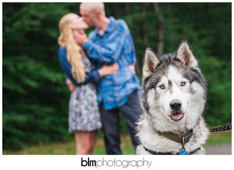 Artistic,BLM,Brattleboro Wedding Photographer,Candid,Creative,Dublin Engagement,Dublin Wedding Photographer,Engagement Photos,Engagement Pictures,Hancock Wedding Photographer,Harrisville Wedding Photographer,Jaffrey Wedding Photographer,Jul,July,Keene Wedding Photographer,Lovebirds,MA,ME,Maine Wedding Photographer,Marlborough Wedding Photographer,Massachusettes,NH,NH Wedding,NH Wedding Photographer,Natural,Natural Light,Nelson Wedding Photographer,New England,New England Wedding,New Hampshire Engagement,New Hampshire Wedding Photographer,Peterborough Wedding Photographer,Photo,Photographer,Photography,Photojournalistic,Professional,Professional Wedding Photography,Rainy Engagement,Rindge Wedding Photographer,Rusty & Liz,Rusty & Liz {Engaged},Sharon Wedding Photographer,Summer,Temple Wedding Photographer,USA,United States,VT,Vermont,Vivid,Wedding,Wedding Photography,Wedding Photography Packages,www.blmphoto.com,©BLM Photography 2016,