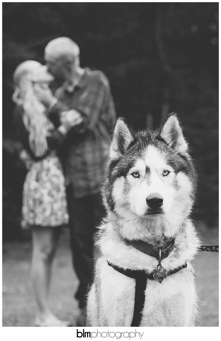 Artistic,BLM,Brattleboro Wedding Photographer,Candid,Creative,Dublin Engagement,Dublin Wedding Photographer,Engagement Photos,Engagement Pictures,Hancock Wedding Photographer,Harrisville Wedding Photographer,Jaffrey Wedding Photographer,Jul,July,Keene Wedding Photographer,Lovebirds,MA,ME,Maine Wedding Photographer,Marlborough Wedding Photographer,Massachusettes,NH,NH Wedding,NH Wedding Photographer,Natural,Natural Light,Nelson Wedding Photographer,New England,New England Wedding,New Hampshire Engagement,New Hampshire Wedding Photographer,Peterborough Wedding Photographer,Photo,Photographer,Photography,Photojournalistic,Professional,Professional Wedding Photography,Rainy Engagement,Rindge Wedding Photographer,Rusty & Liz,Rusty & Liz {Engaged},Sharon Wedding Photographer,Summer,Temple Wedding Photographer,USA,United States,VT,Vermont,Vivid,Wedding,Wedding Photography,Wedding Photography Packages,www.blmphoto.com,©BLM Photography 2016,